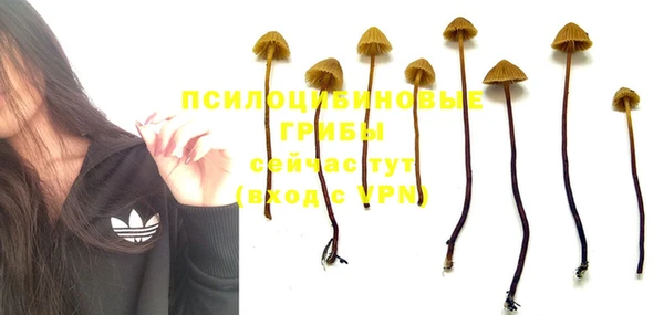 mdpv Мегион