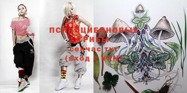 mdpv Мегион