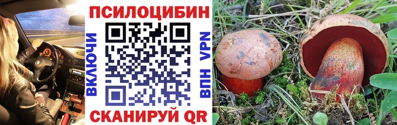 дарк нет Telegram  Катав-Ивановск  Псилоцибиновые грибы Cubensis 